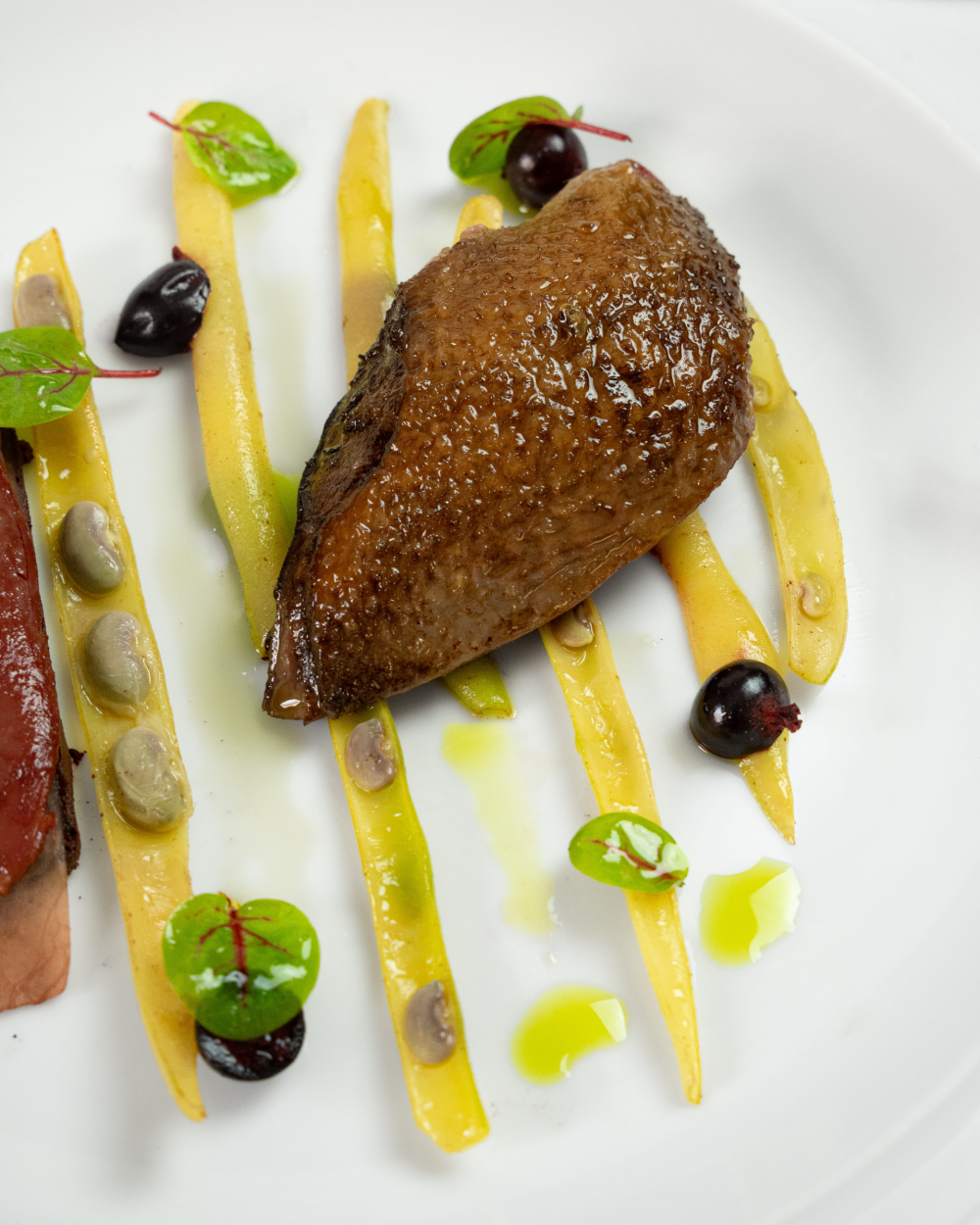 Oven-roasted pigeon, summer vegetables, wilted sorrel, pigeon jus with blackcurrant €195
